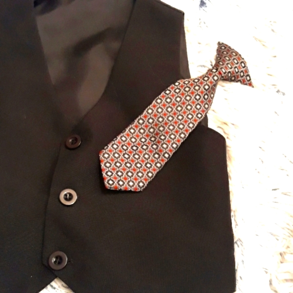 Little Boys Formal Wear Hook On Tie